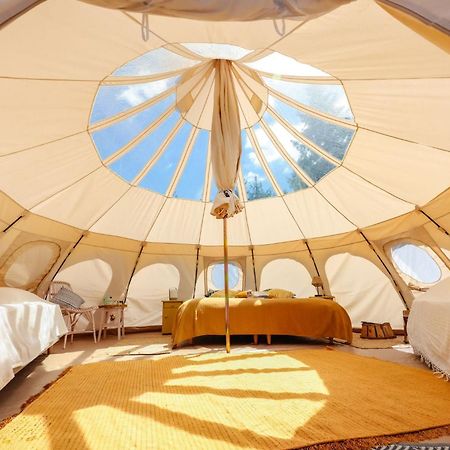 Hotel Eco Ceiba Busque Zewnętrze zdjęcie