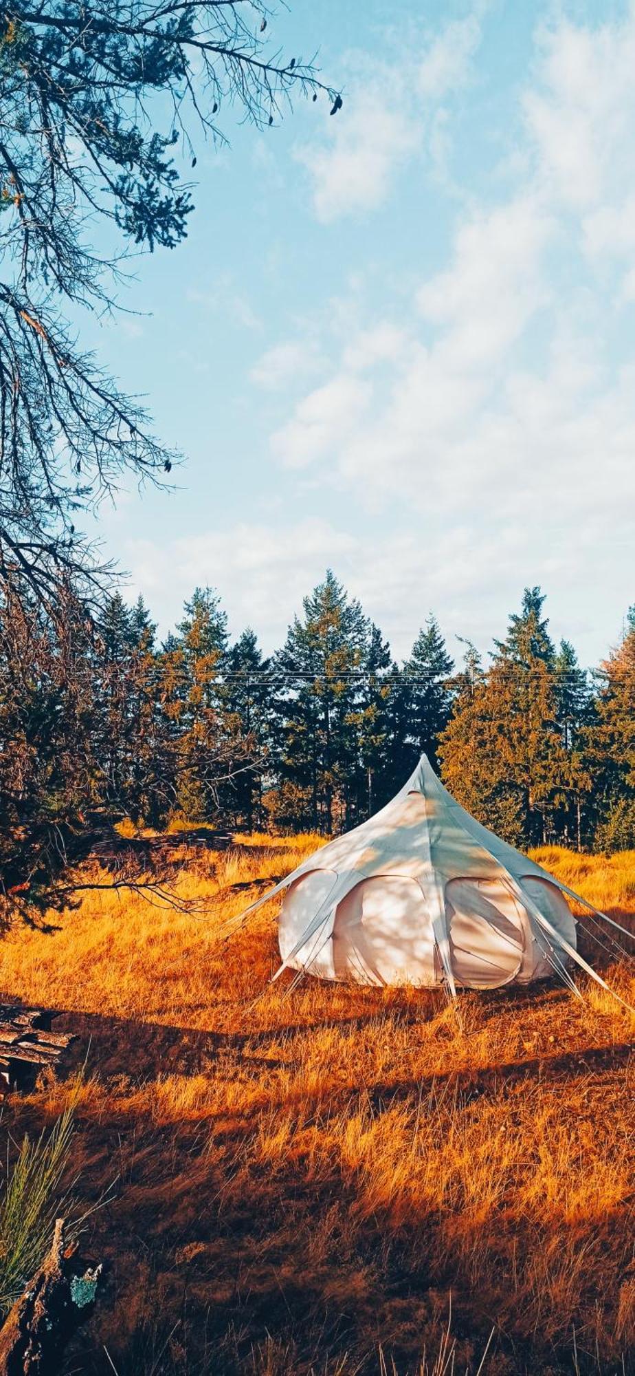 Hotel Eco Ceiba Busque Zewnętrze zdjęcie