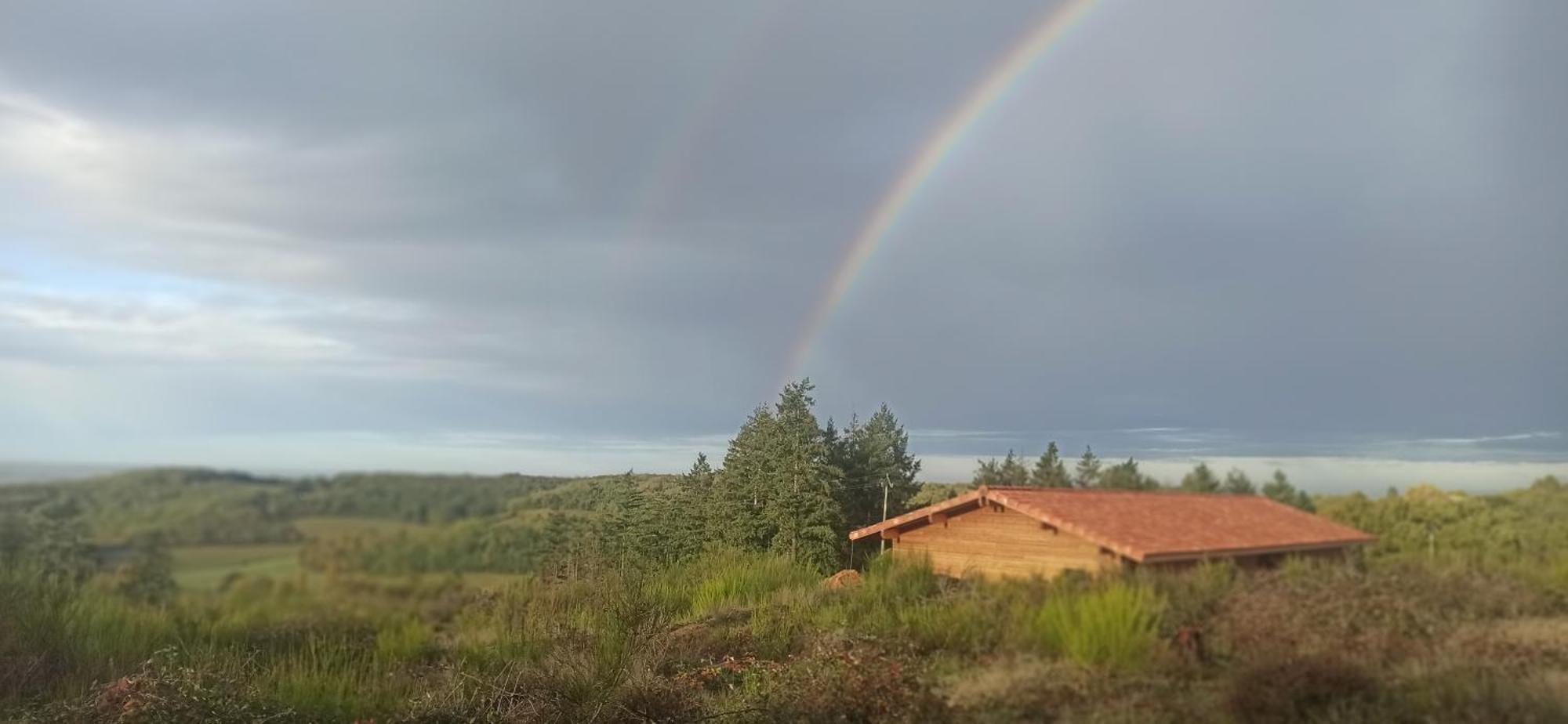 Hotel Eco Ceiba Busque Zewnętrze zdjęcie