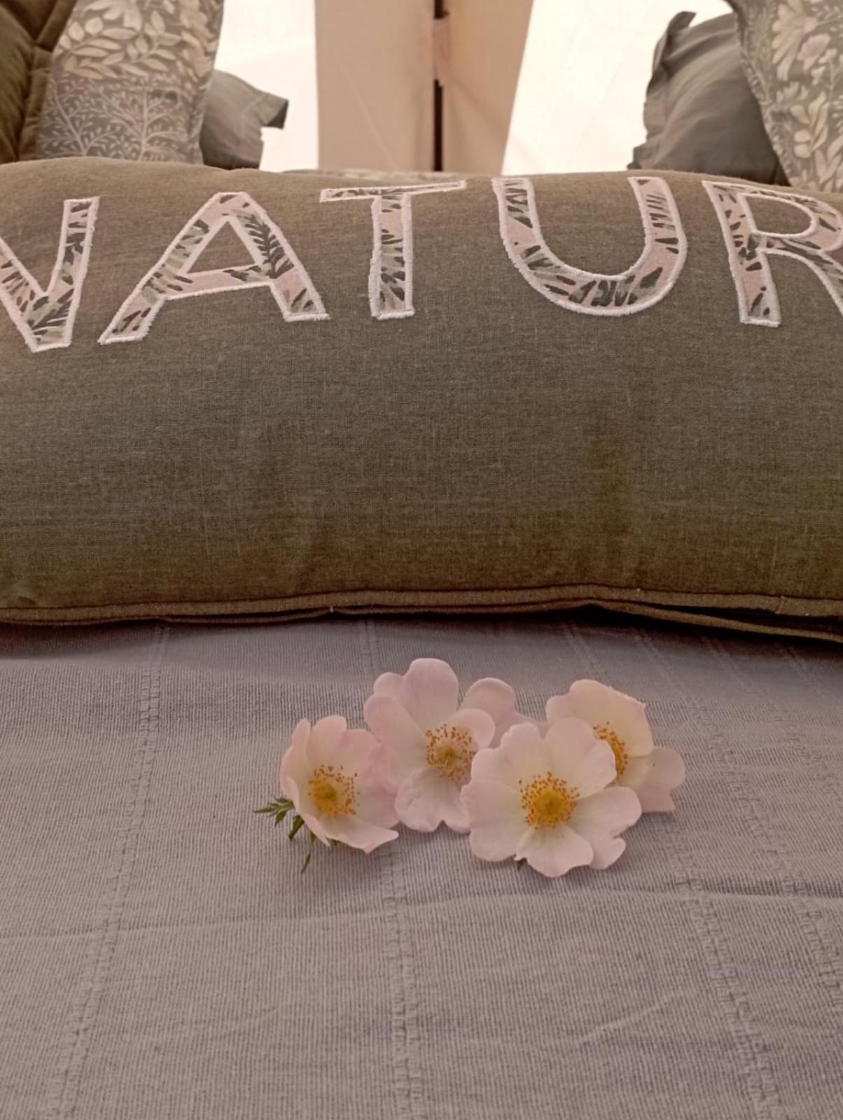 Hotel Eco Ceiba Busque Zewnętrze zdjęcie