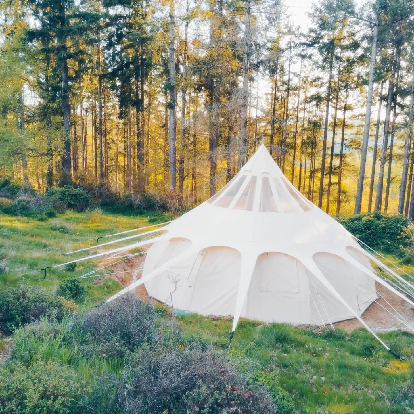 Hotel Eco Ceiba Busque Zewnętrze zdjęcie