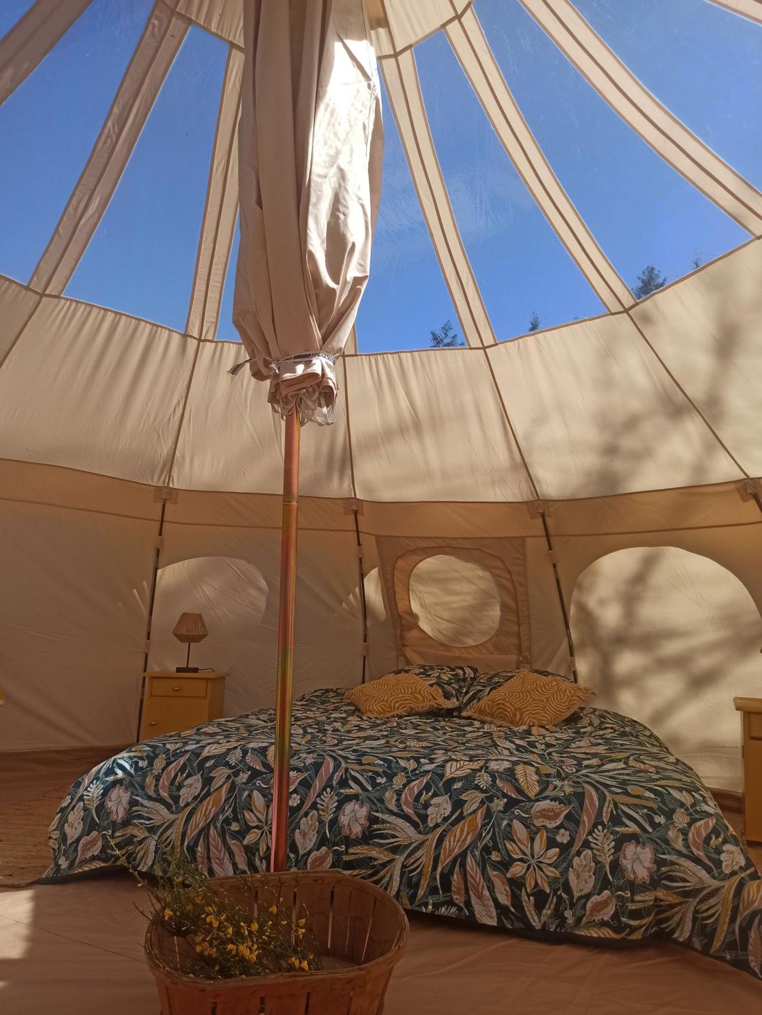 Hotel Eco Ceiba Busque Zewnętrze zdjęcie