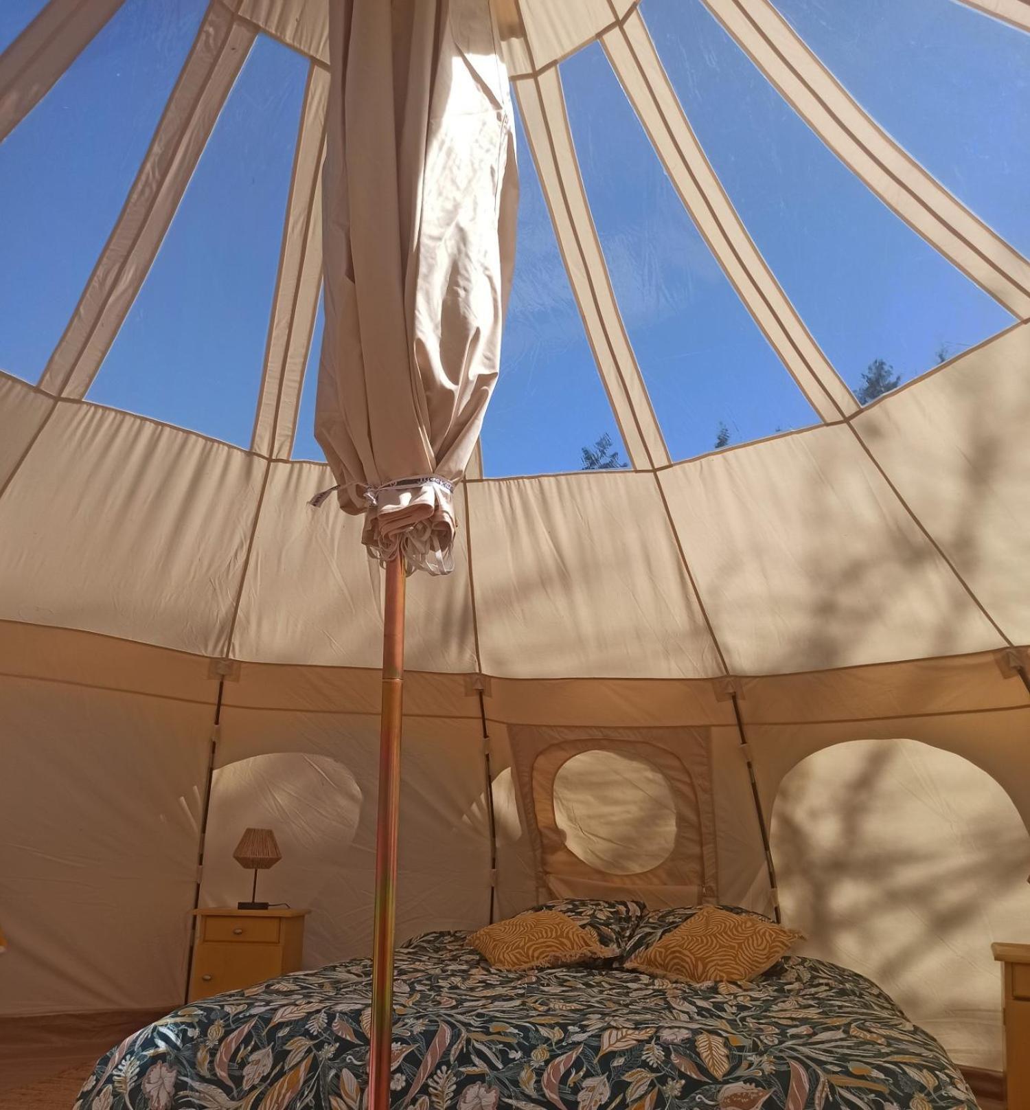Hotel Eco Ceiba Busque Zewnętrze zdjęcie