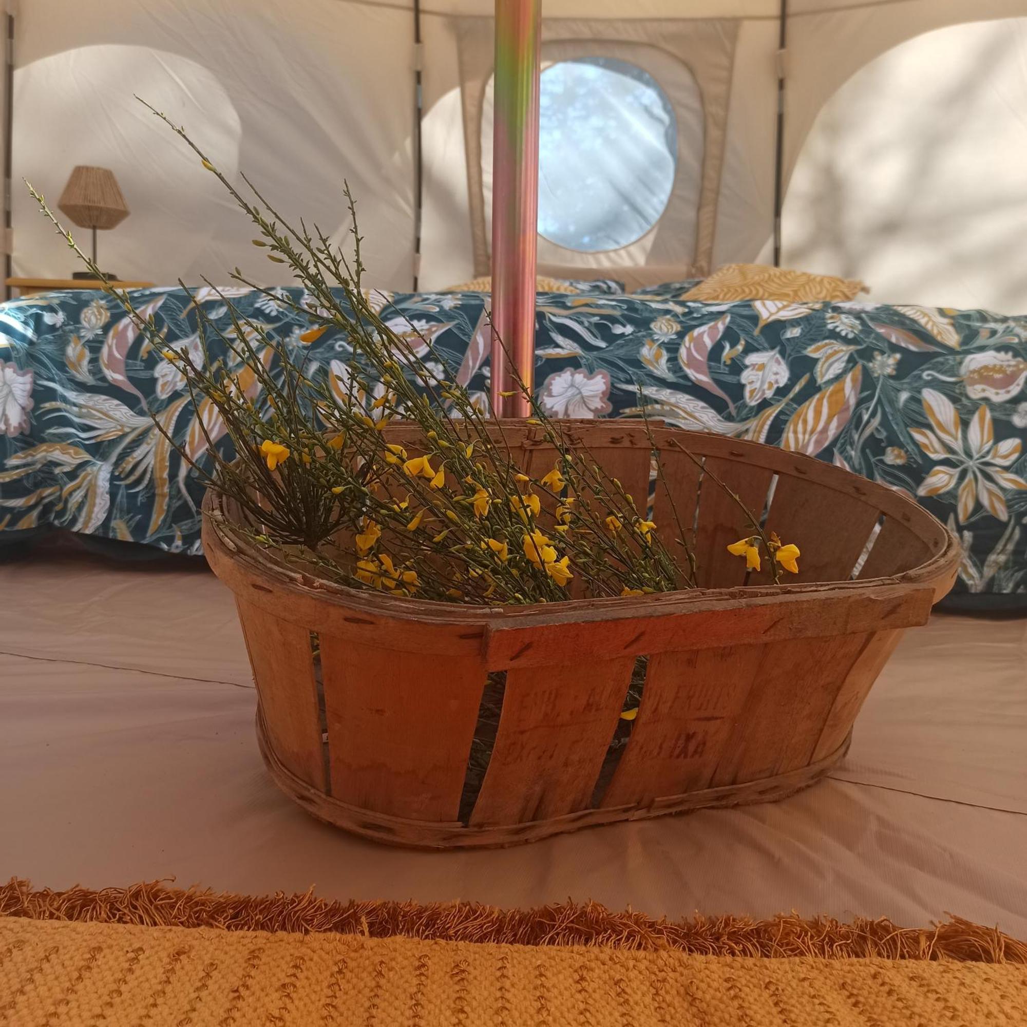 Hotel Eco Ceiba Busque Zewnętrze zdjęcie